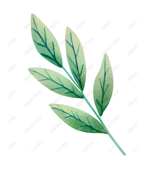 Galho de folhas aquarela