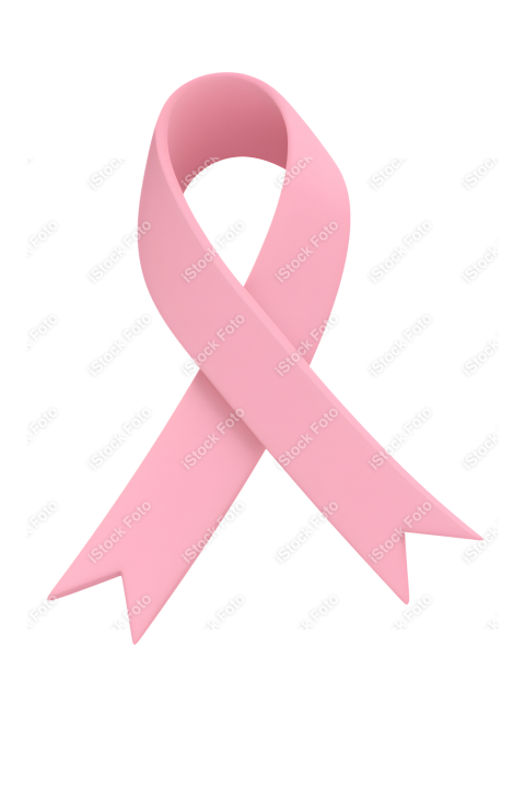 Mascote Outubro Rosa (2)