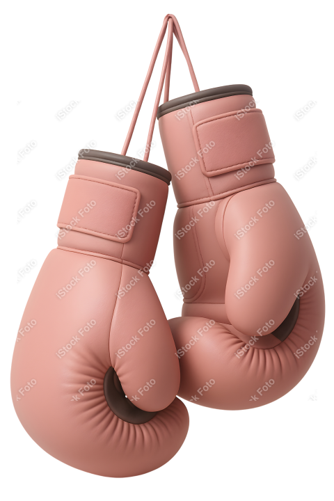 Mascote Outubro Rosa (24)