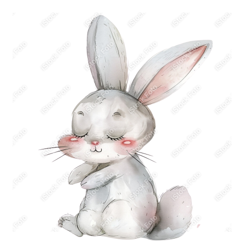 Lindo coelho estilo fofo aquarela png (21)