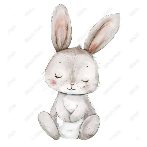 Lindo coelho estilo fofo aquarela png (27)