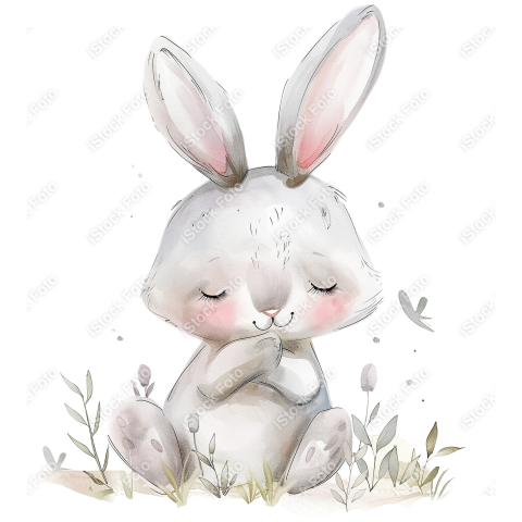 Lindo coelho estilo fofo aquarela png (29)