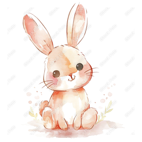 Lindo coelho estilo fofo aquarela png (32)