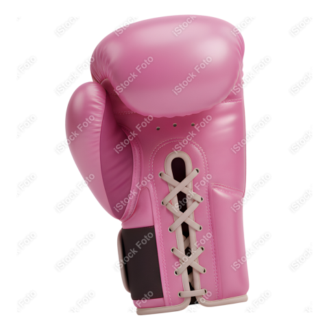 Mascote Outubro Rosa (54)