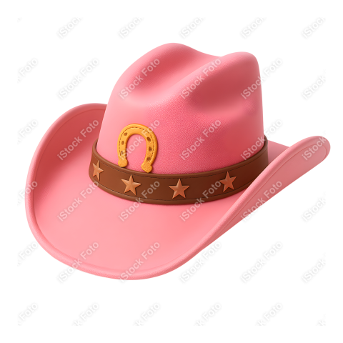 Mascote Boiadeira (37)